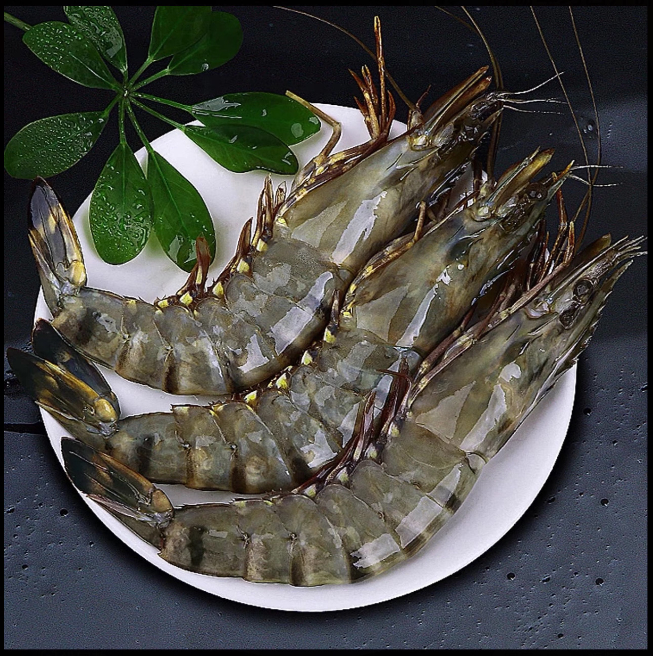 盐田活虾17个头左右2斤装