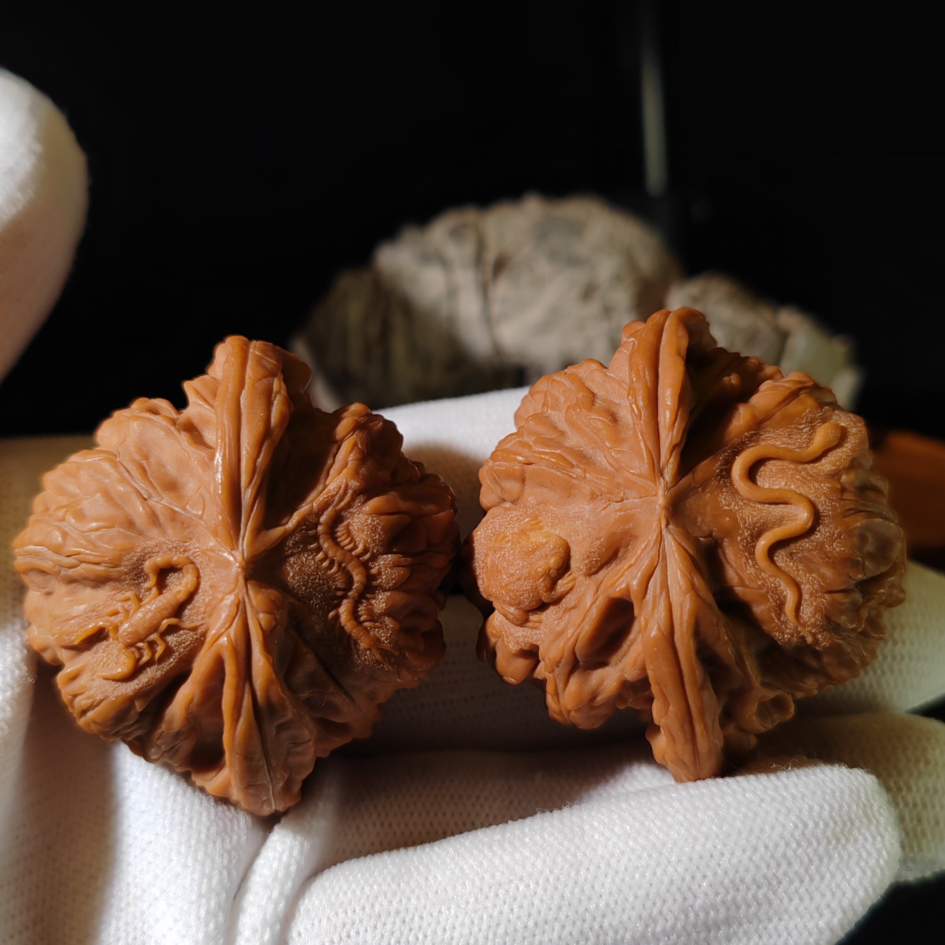 纯手工雕刻文玩核桃《五毒》尺寸：4.4*3.5