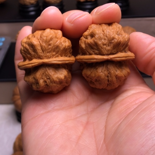 文玩核桃把件龙鳞舍利疙瘩包21