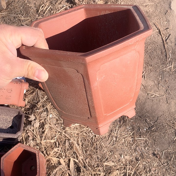 紫砂没有你喜欢吃辣不