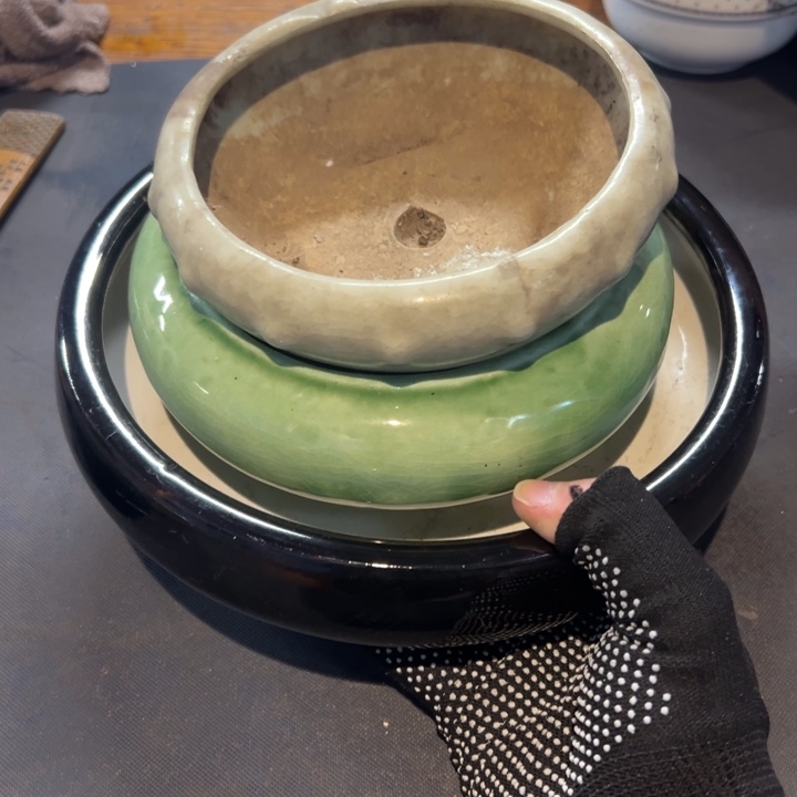 用***5瓷片拾六家的瓷器瓷器