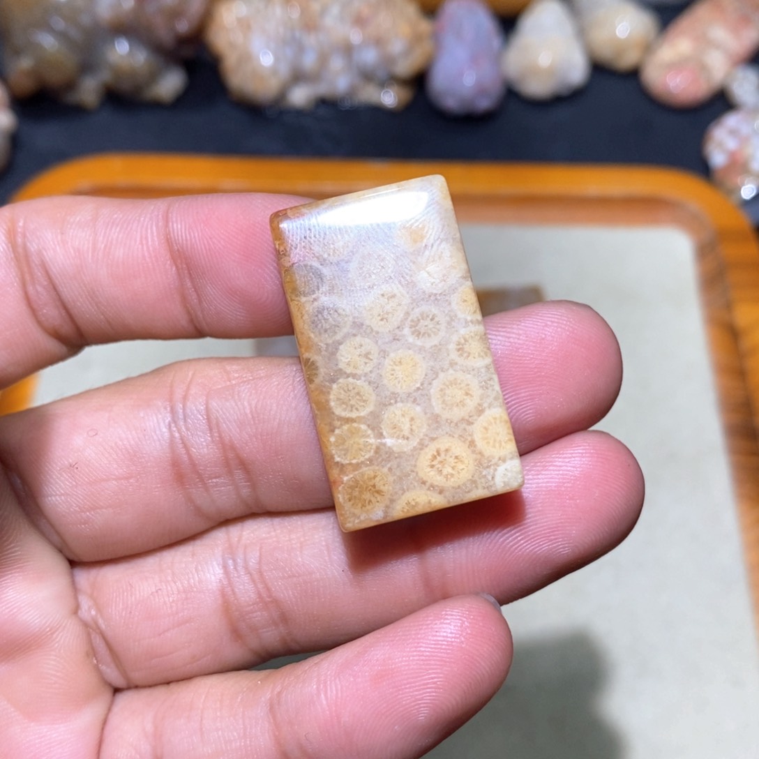 【闪购商品】硅化玉颈饰未镶嵌