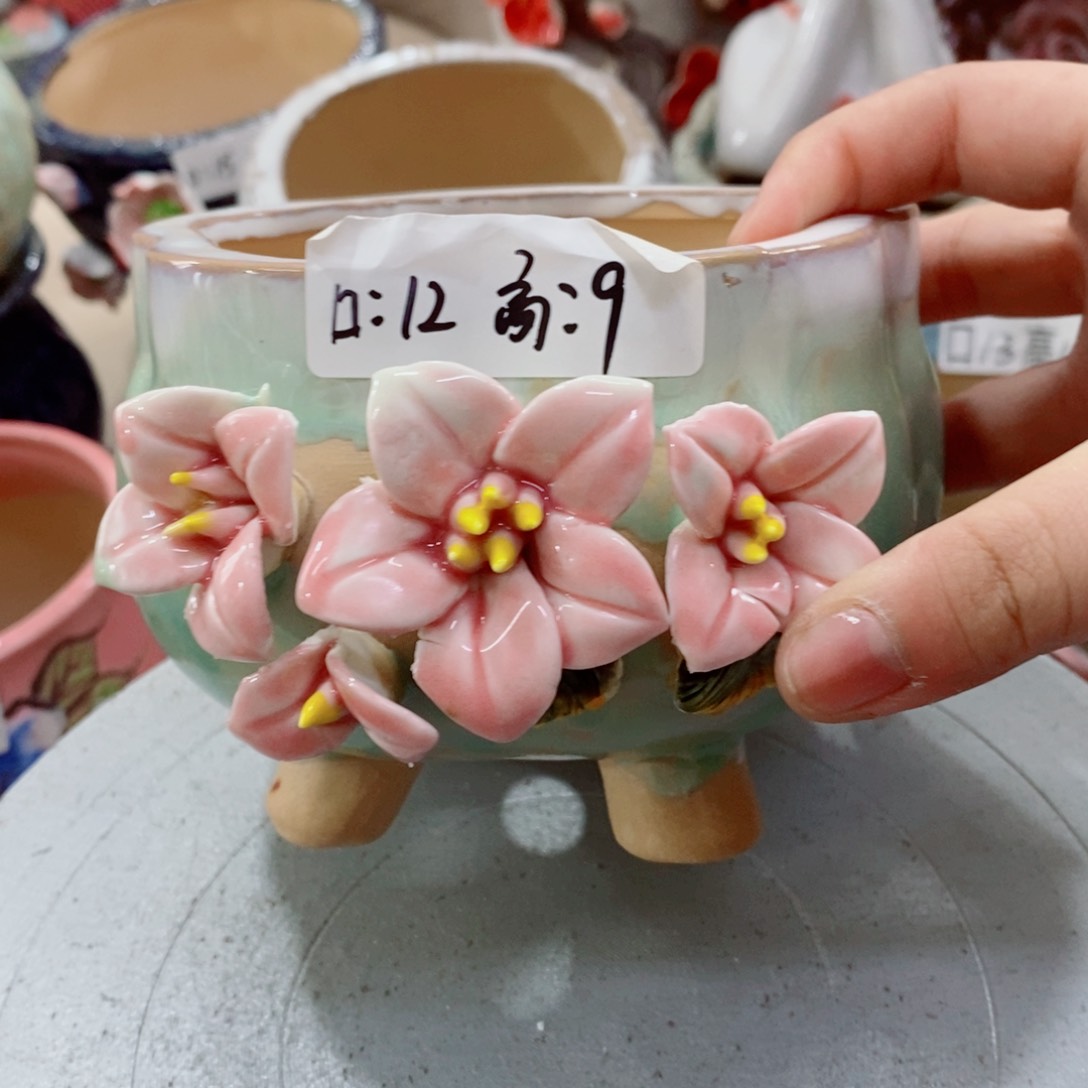 红陶福利福利活动多多