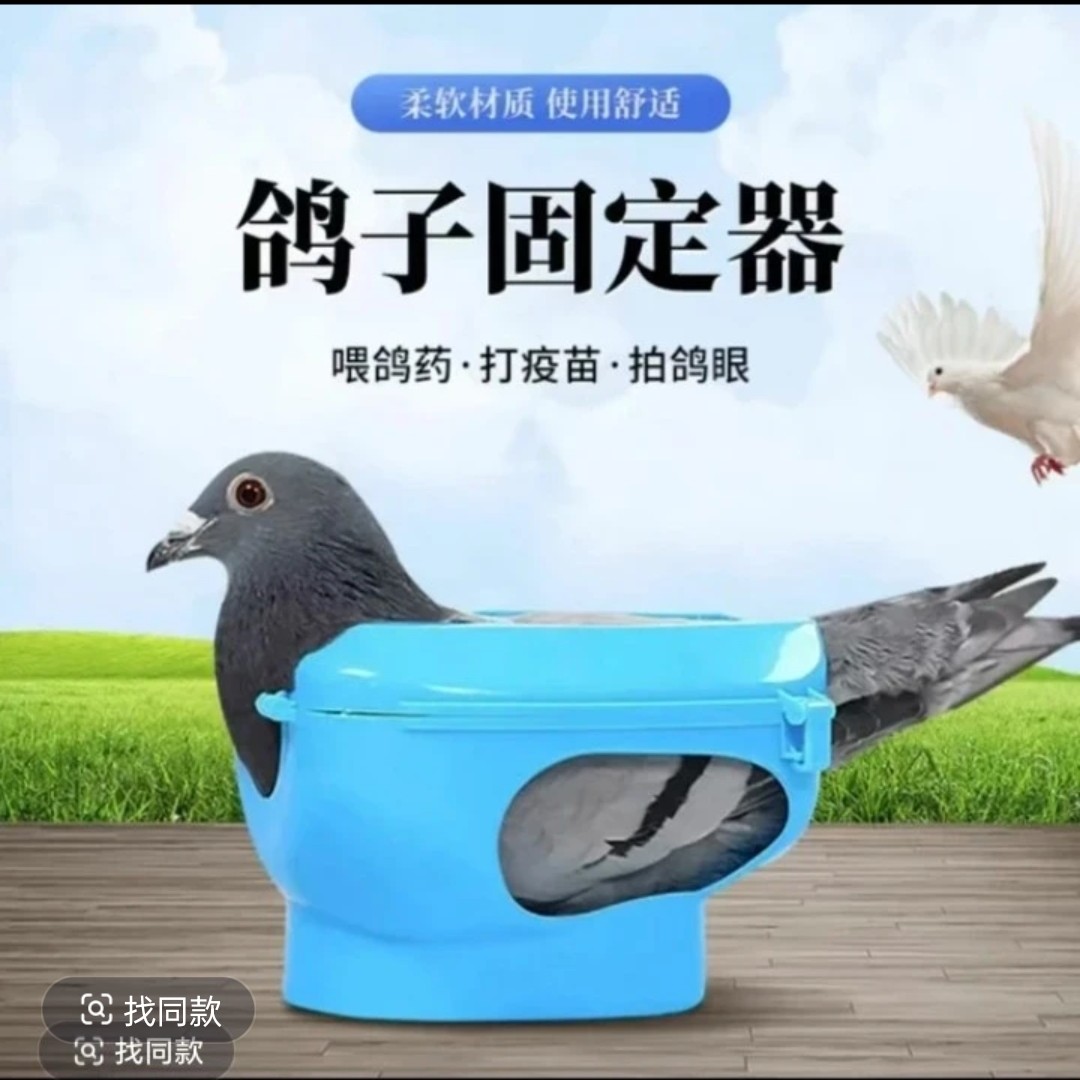 鸽子固定器固定架多功能信鸽喂药看鸽眼输液辅助工具