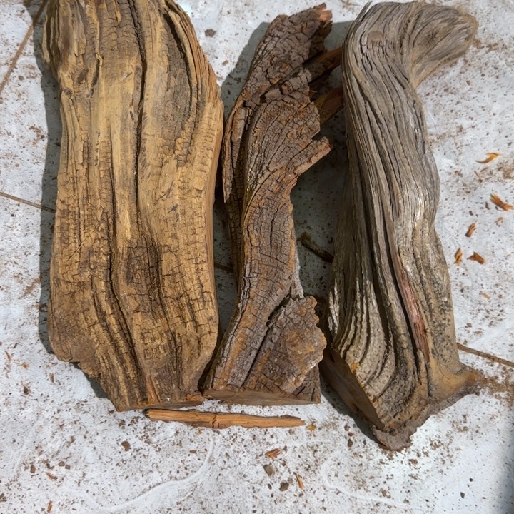 游***崖柏太行崖柏易县料