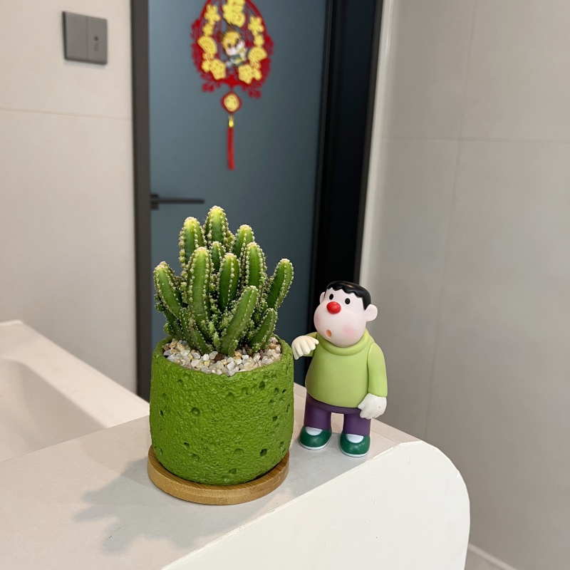 【喜半阴】仙人掌盆栽万重山多肉植物花卉桌面室内景观绿植好养摆件