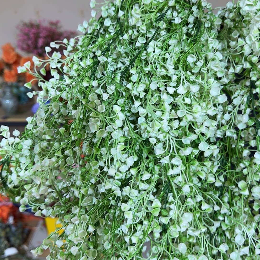 914号孤品打包8条