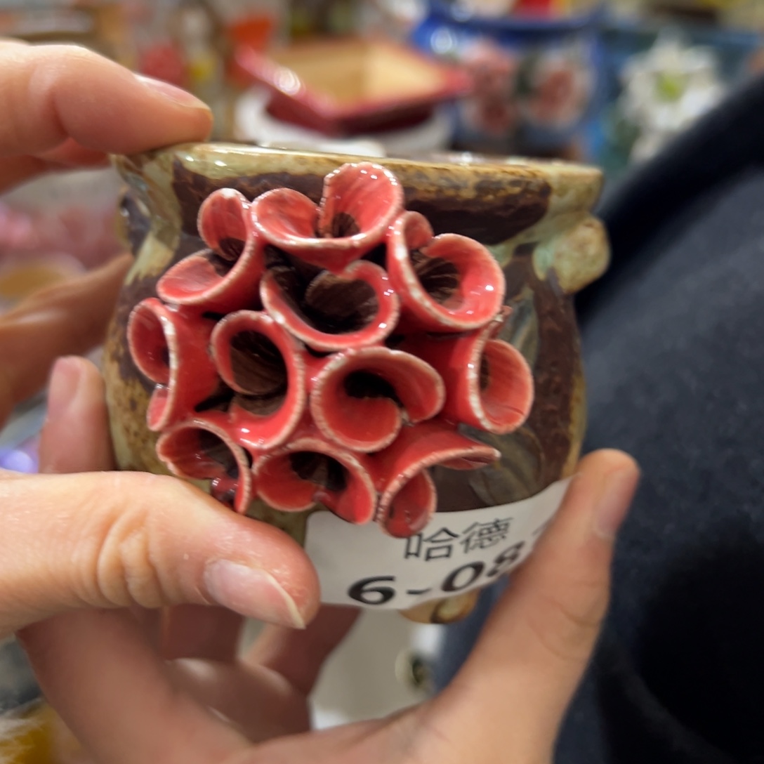 满20米秒退拉黑花盆
