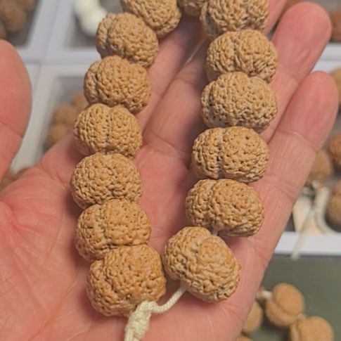 了***缘手串金刚菩提菠萝蜜大金刚手串，全品无黄，没有歪籽