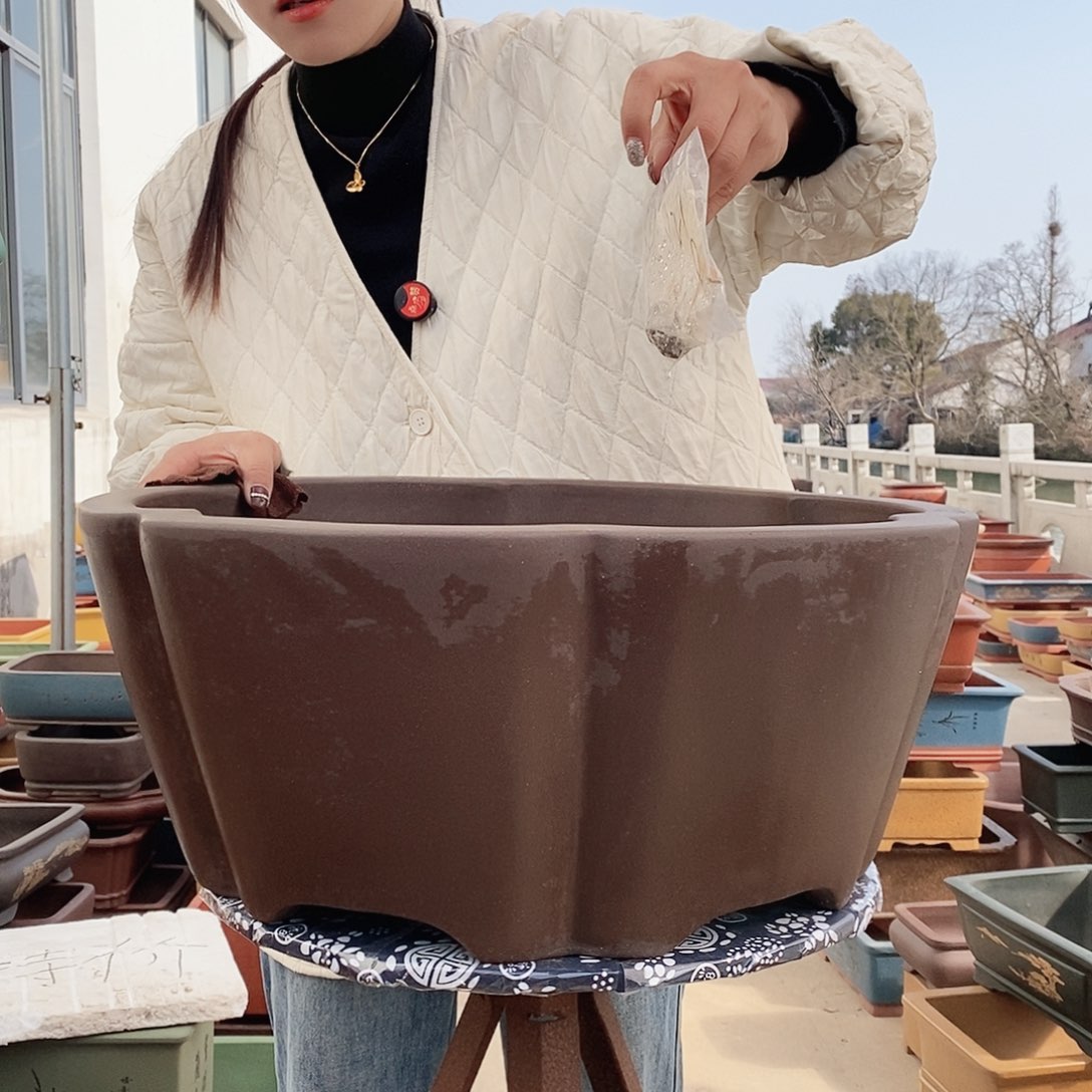 紫砂花盆紫砂花盆