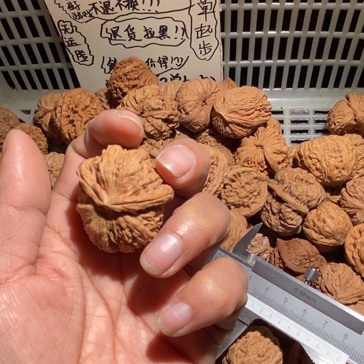 o***哥核桃白狮子异形尺寸34全品