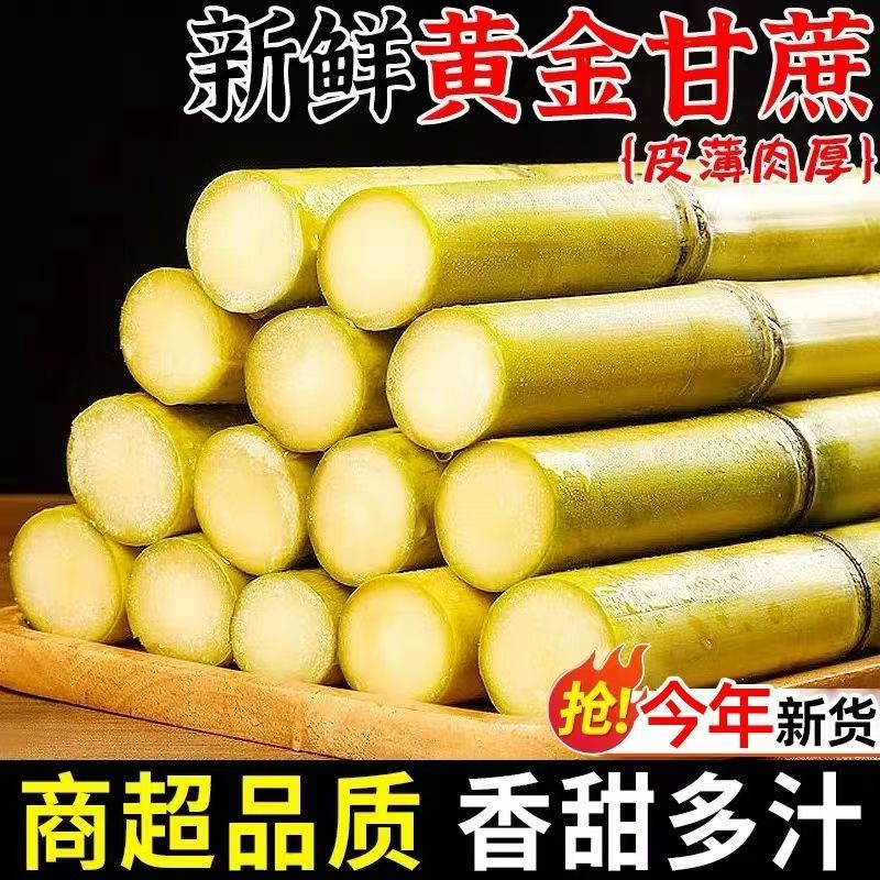【毛毛专属】云南黄金甘蔗脆甜多汁脆皮甘蔗当季新鲜水果原产地直发