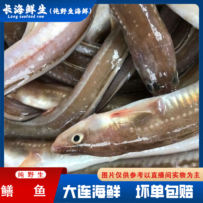 【纯野生鳝鱼】又叫七星鳗鱼，冷冻发货，肉质鲜嫩顺丰包邮