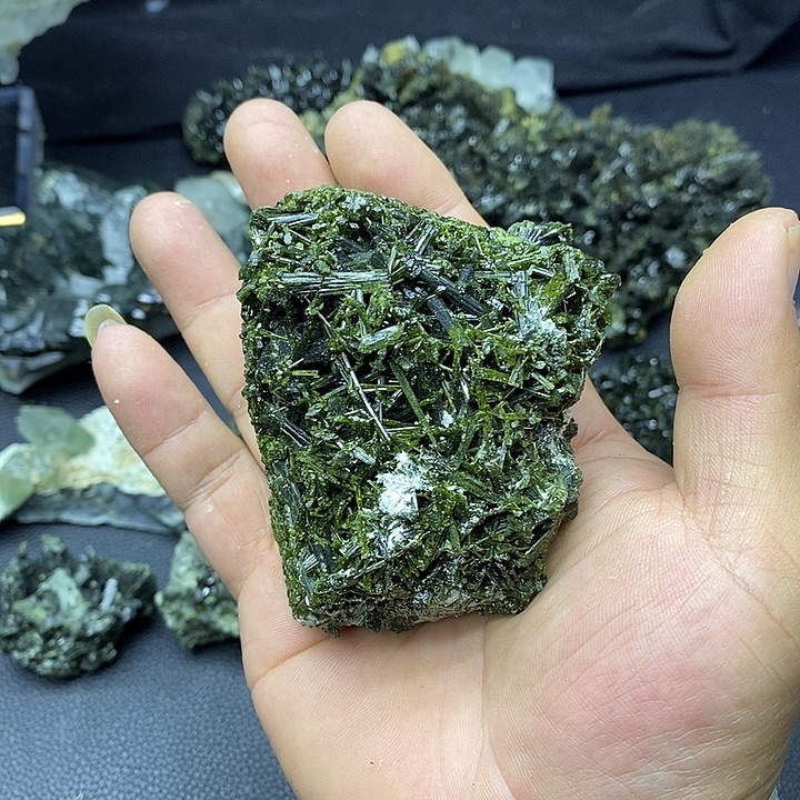 有机玻璃新号开播福利