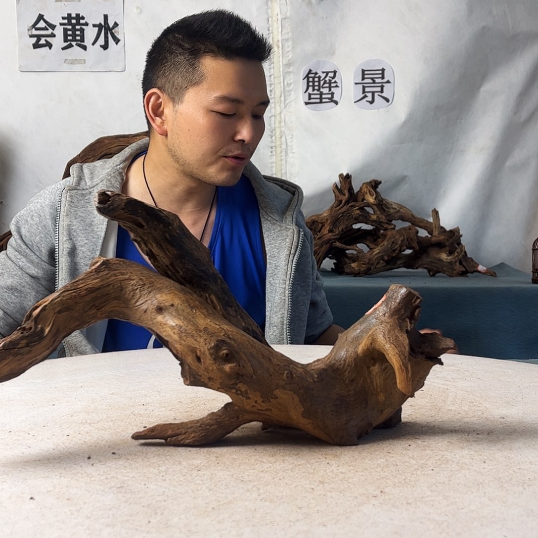 九*玖沉木造景爬宠造景