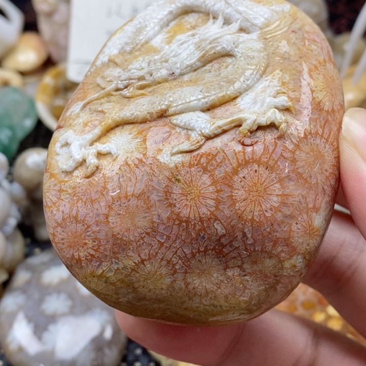 硅化珊瑚（珊瑚玉）颈饰未镶嵌