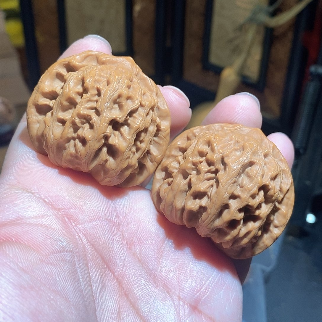 文玩核桃把件46龙脉元宝全品