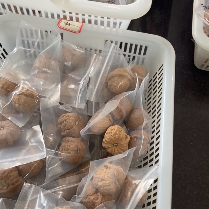 吊坠文玩核桃南瓜墩儿瑕疵