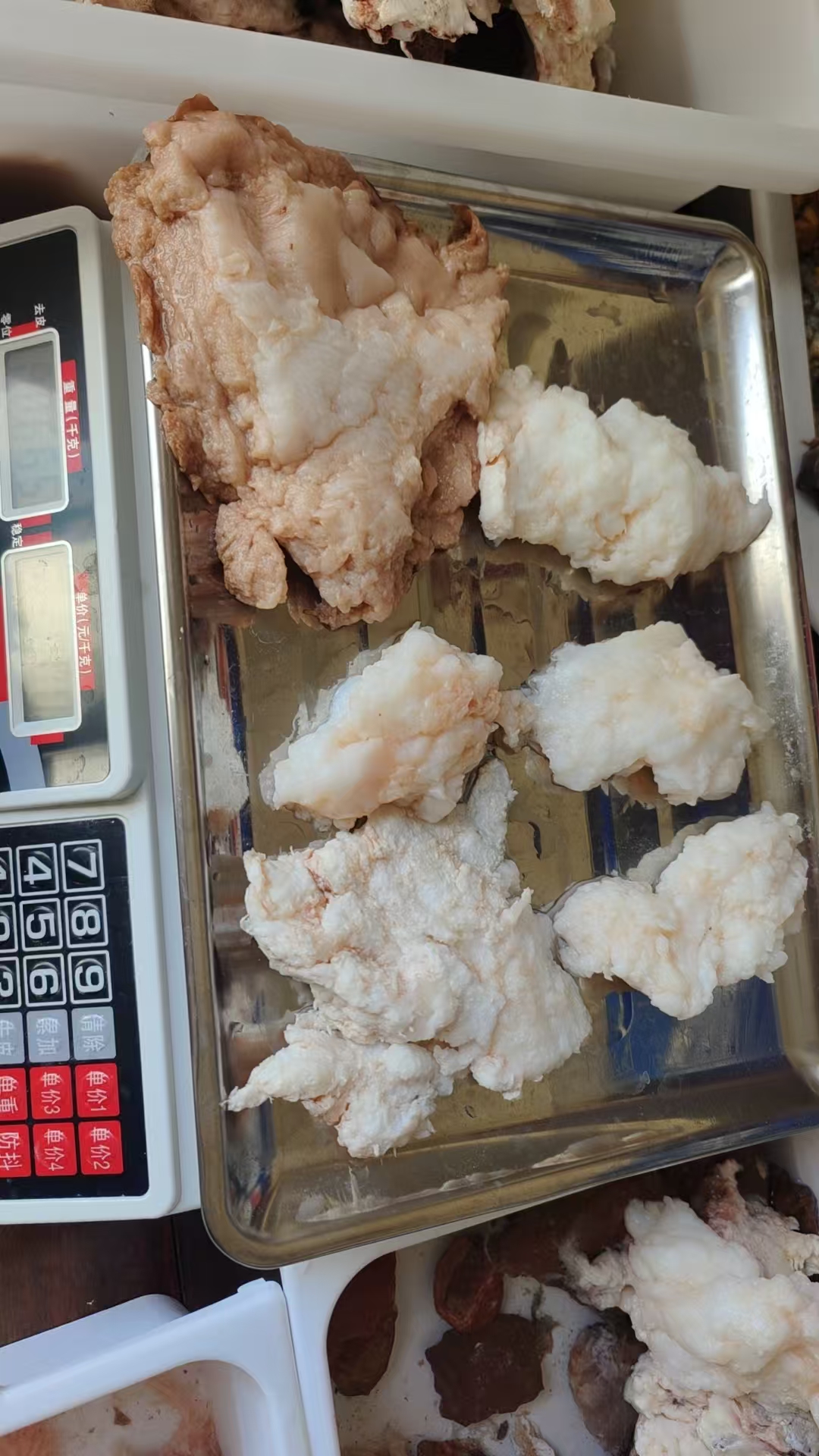 太岁生长在长白山地下溶洞的石太岁天然的家居摆放佳品永生不死