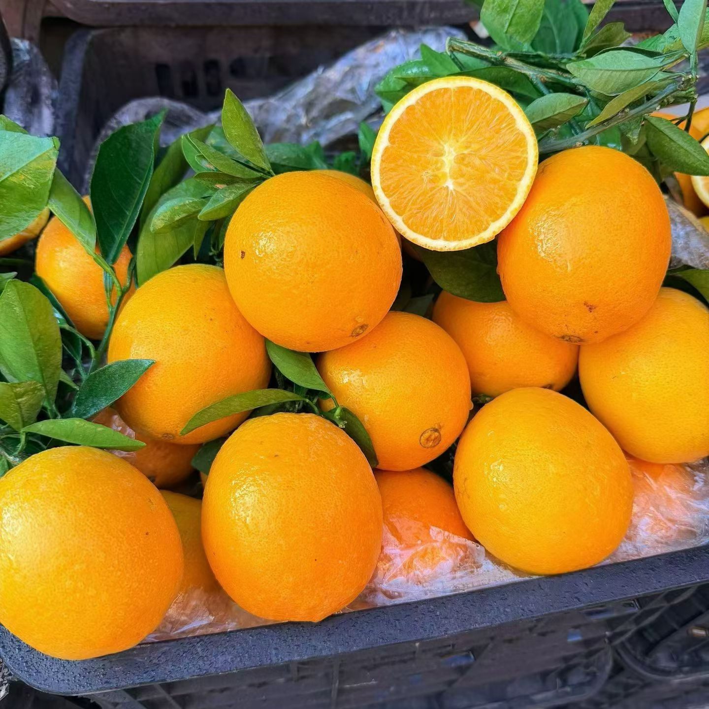 【赣南脐橙】9.9块一口爆汁三斤点关注多少1斤