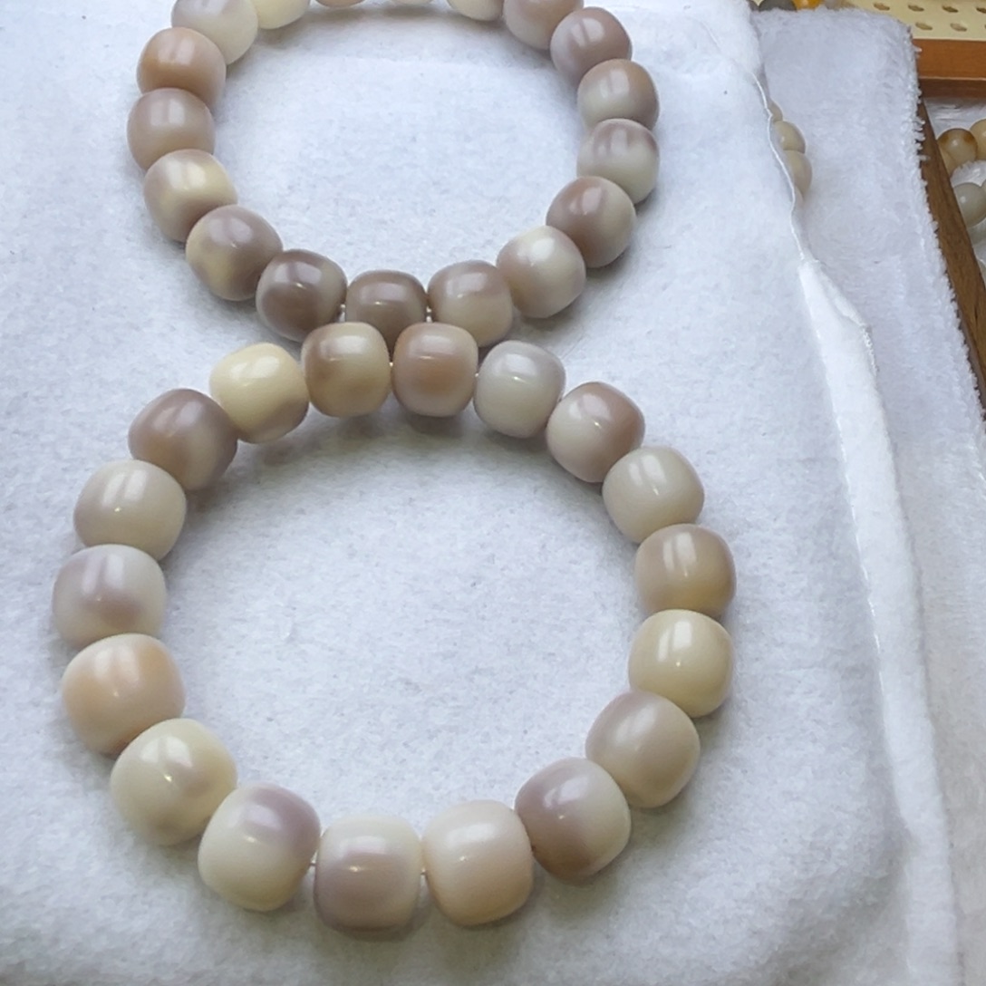 手串菩提根/象牙果紫苏