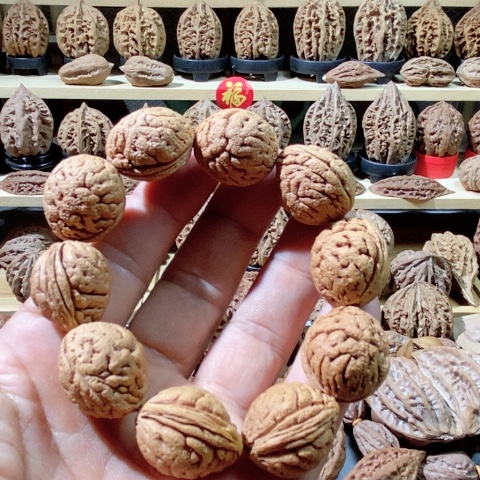 文玩核桃把件桃核