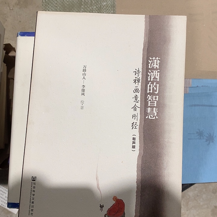 极***土潇洒的智慧瑕疵书