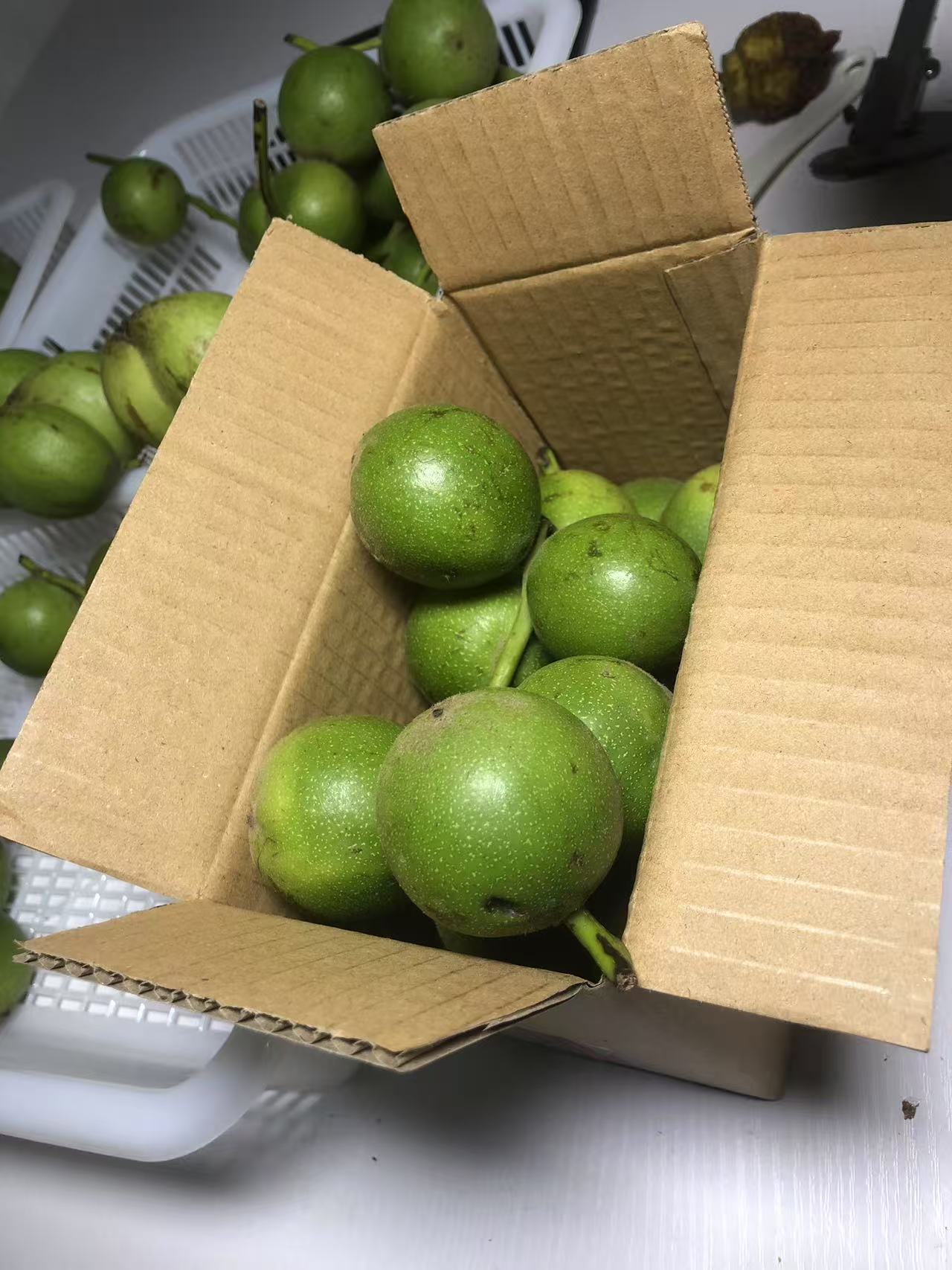 文玩核桃把件【君子协定，不tui不huan！】盘山新摘青皮一箱，装满为止