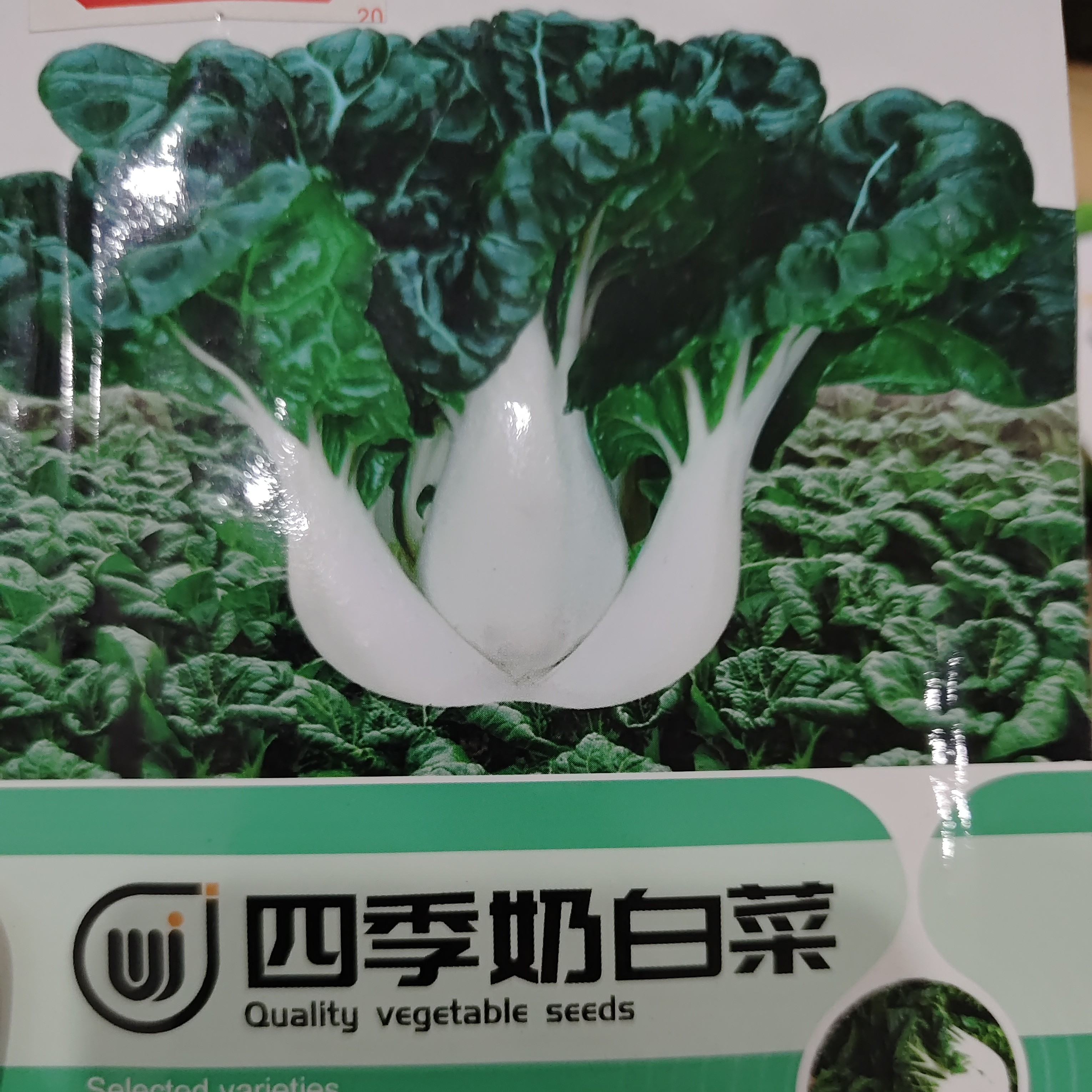 四季奶白菜种子蔬菜奶白菜高钙脆甜小白菜新鲜蔬菜种子