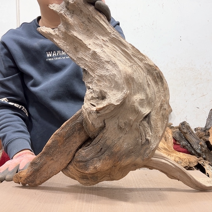 柏木本**活我们的生活是以自己为