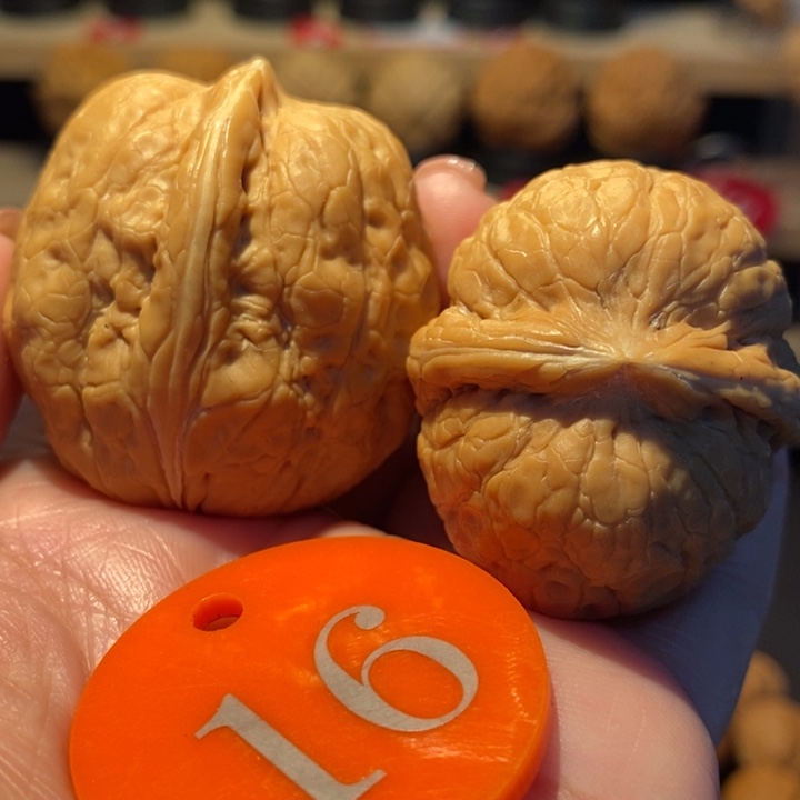 木质类玉观音40尺寸
