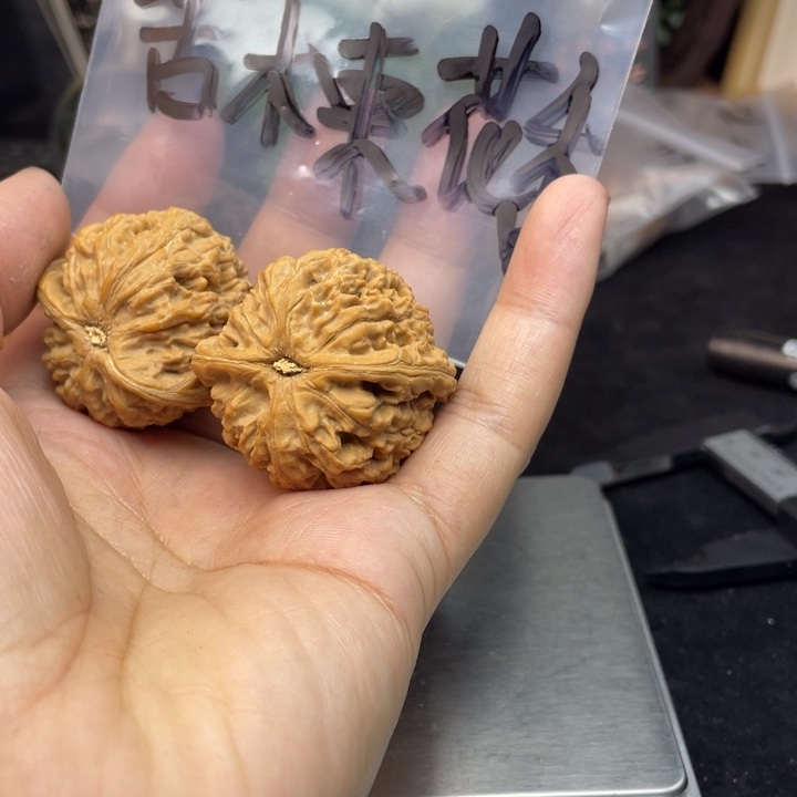 文玩核桃把件苦**香水龙