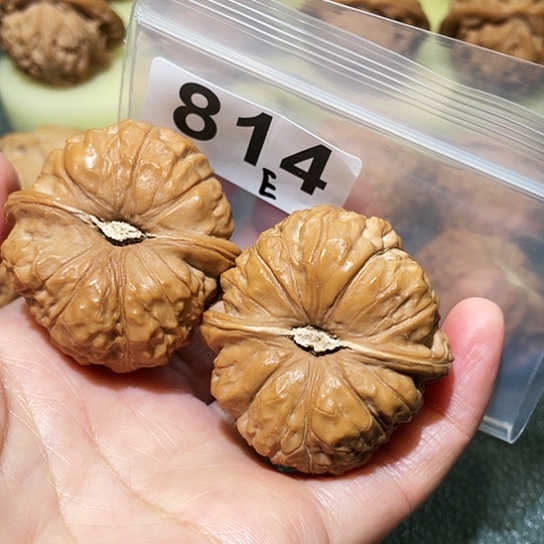 文玩核桃把件南瓜42