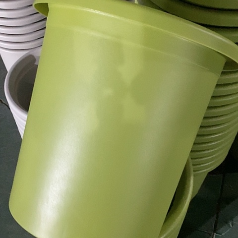 树脂四季7#无托果绿3个