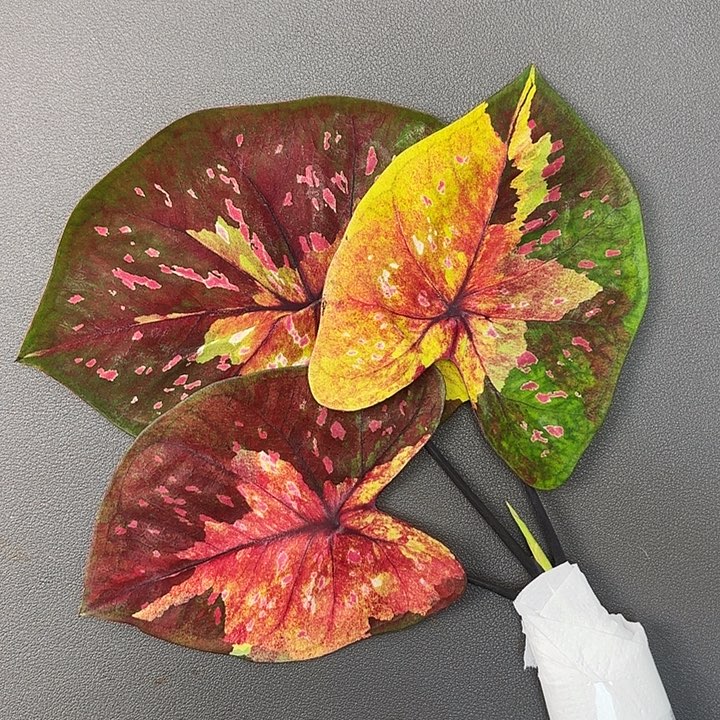 61-1205晚安广东现货