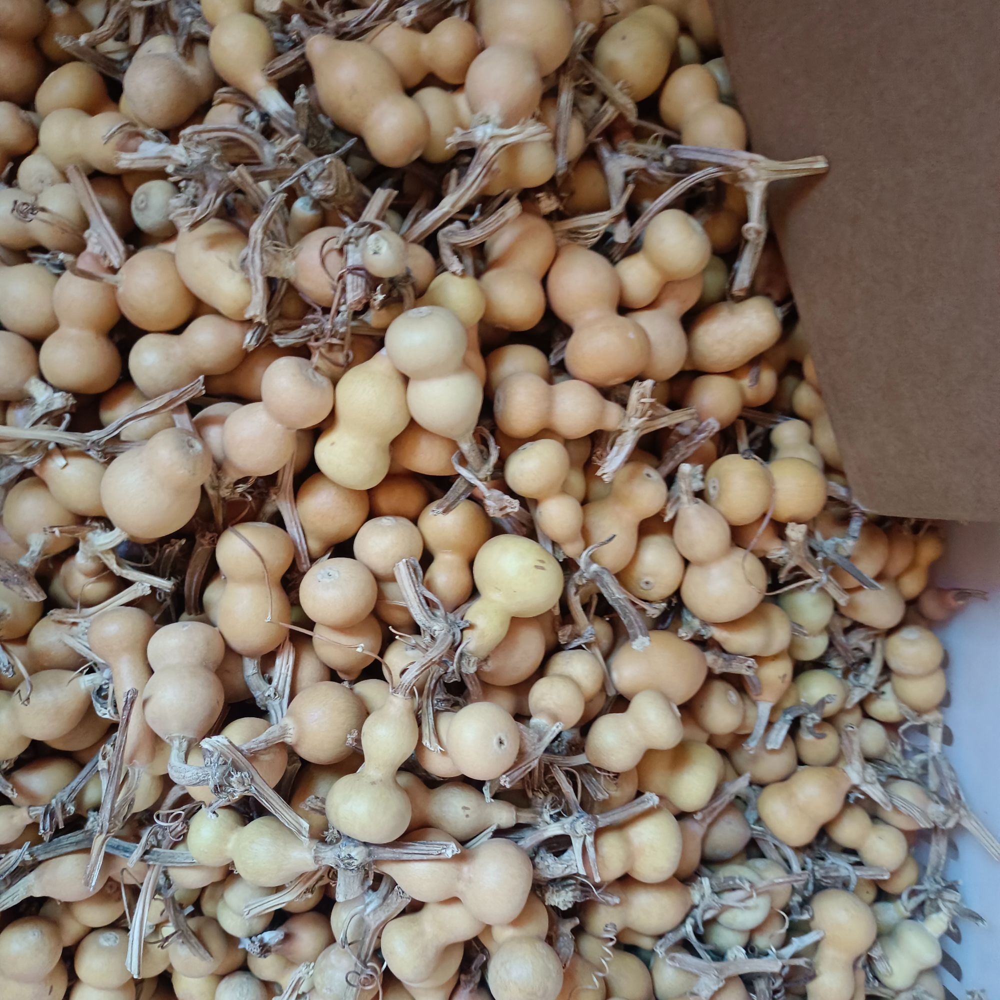 小葫芦直播间专用改价链接勿私自下单