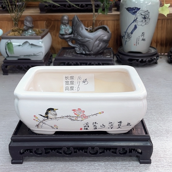 陶瓷花盆抢购福利