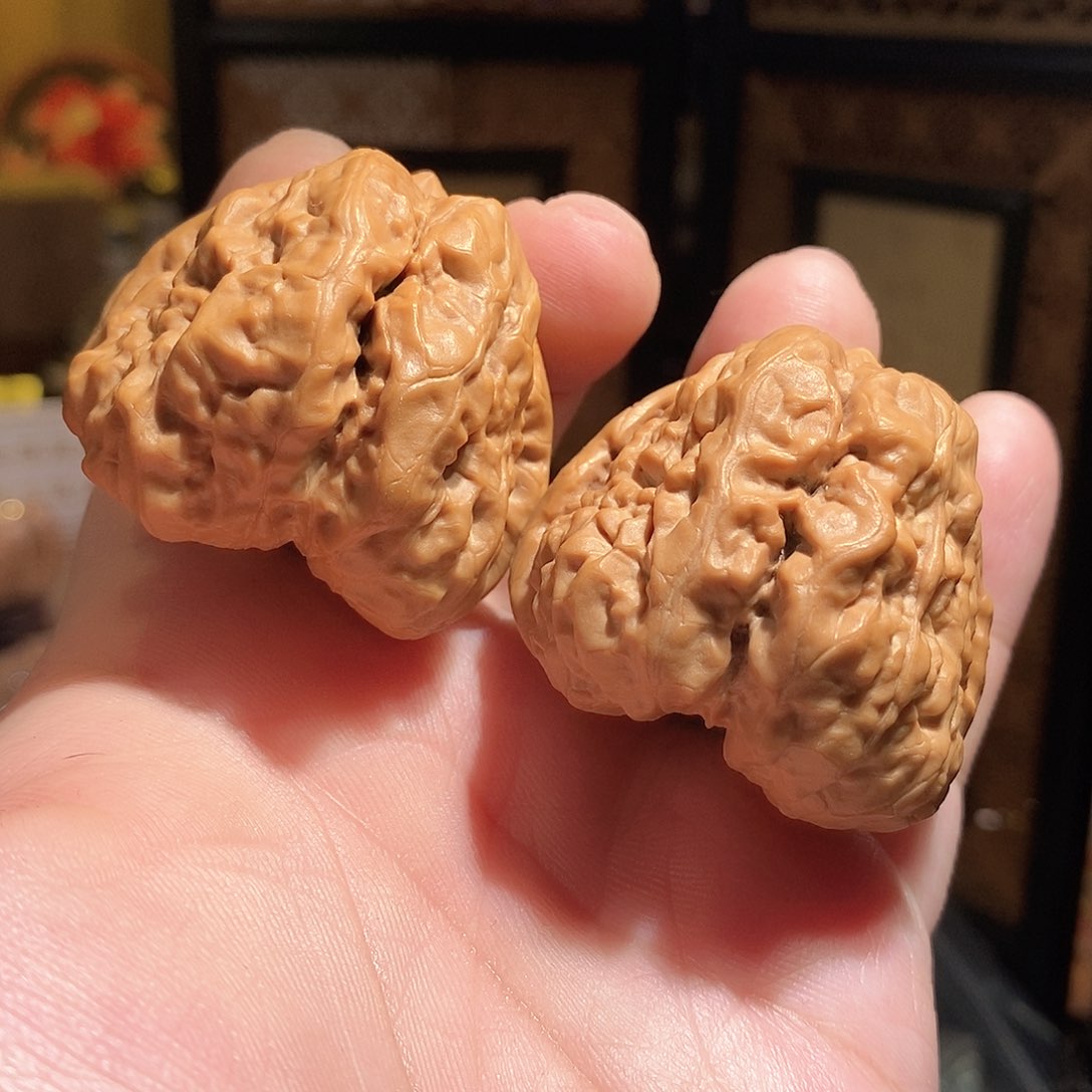 文玩核桃把件44边49肚51克，三角箭毒蛙