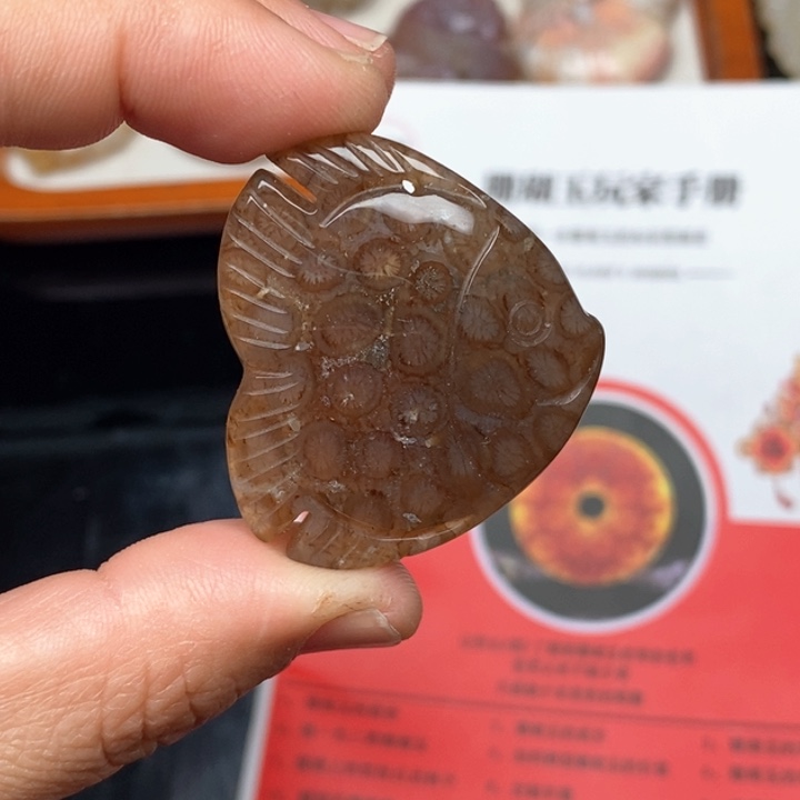硅化珊瑚（珊瑚玉）手镯未镶嵌