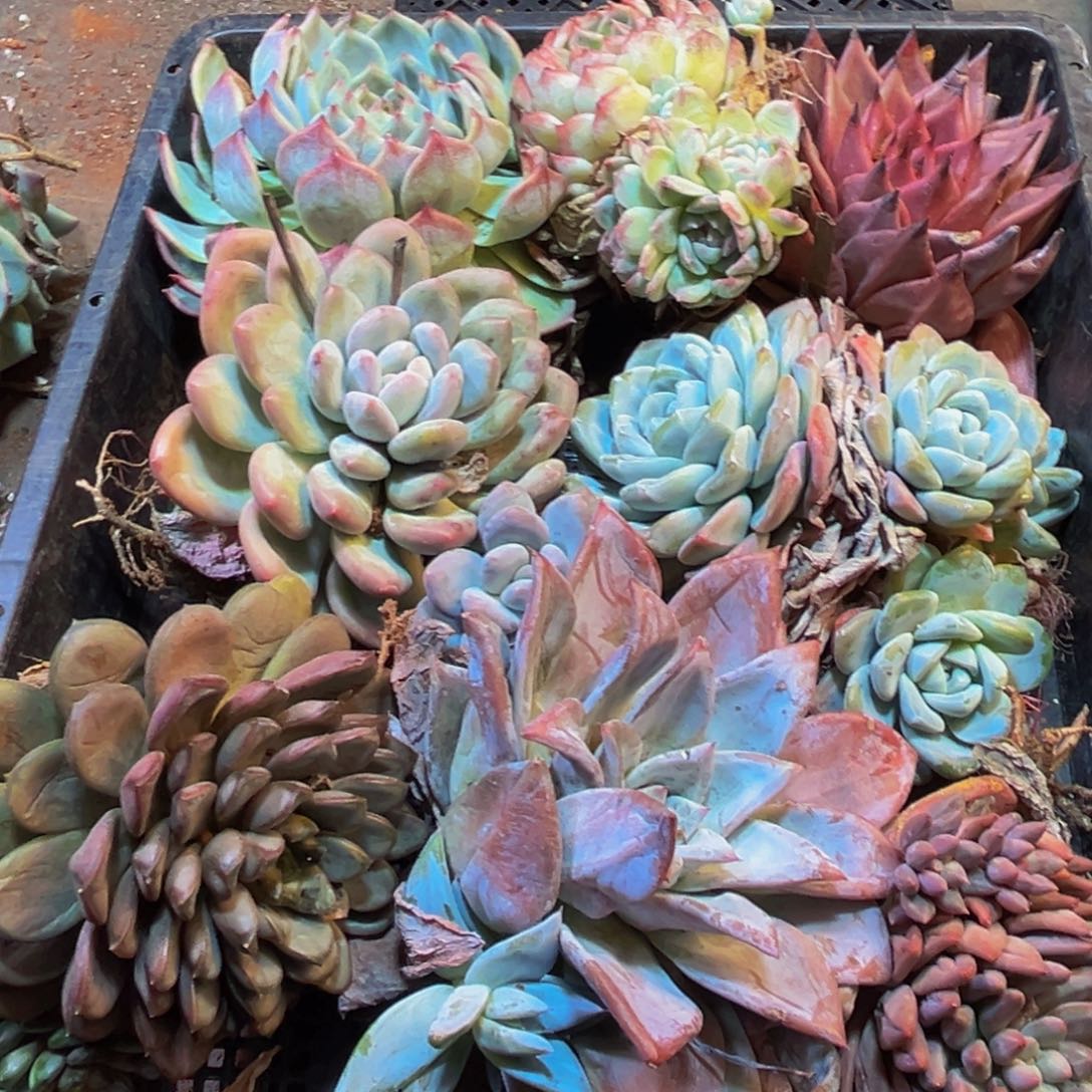 408点点滴滴反反复复v