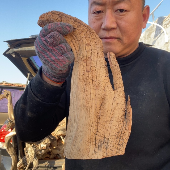 开***悟柏木（崖柏）啊啊啊啊啊啊啊啊