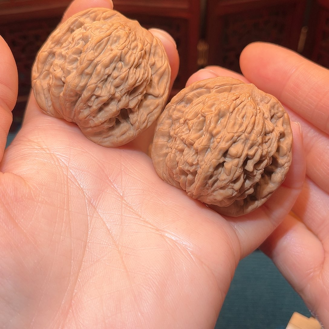 心**水44全品虎头……福利