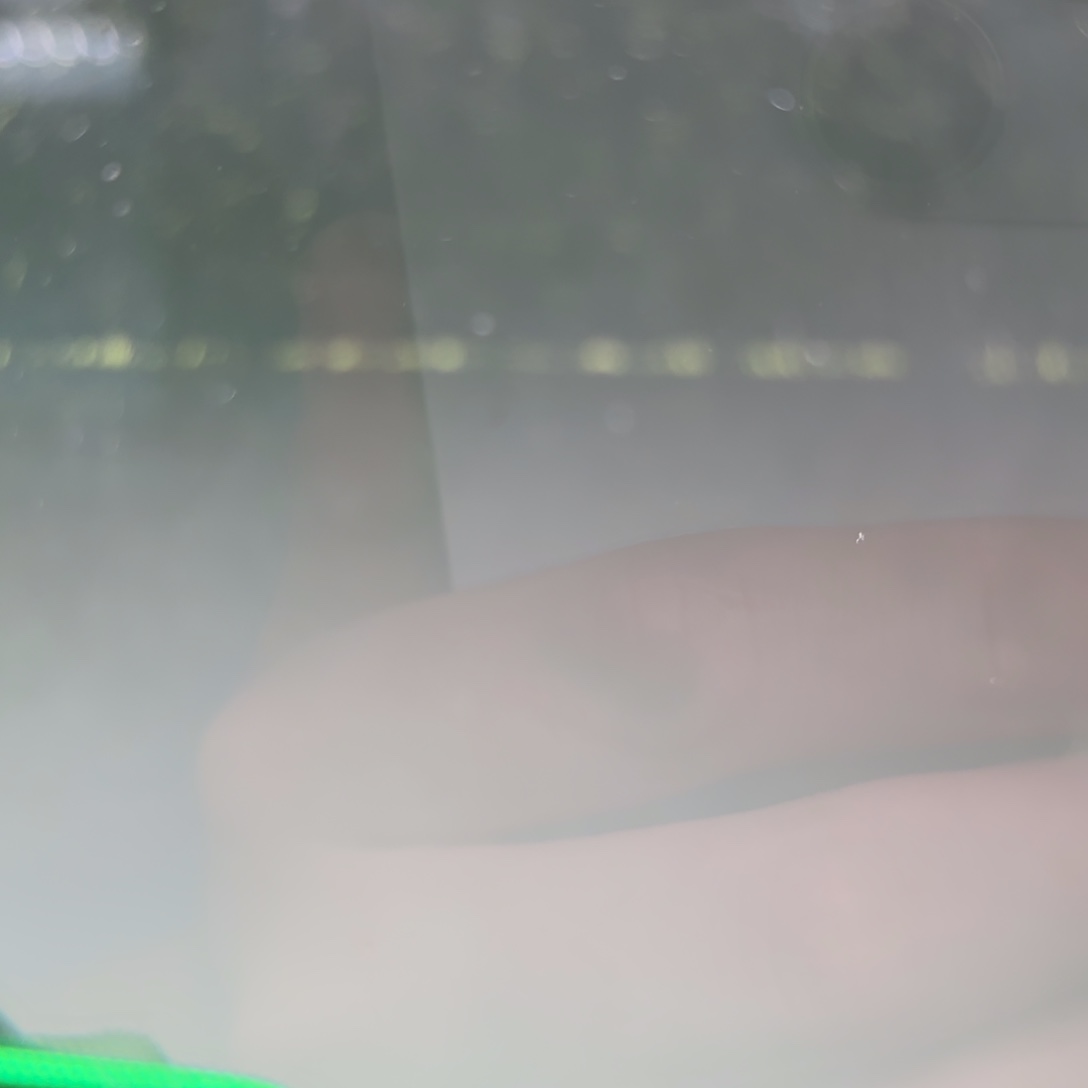 捞***哥灯科鱼大超黄带黑点一条