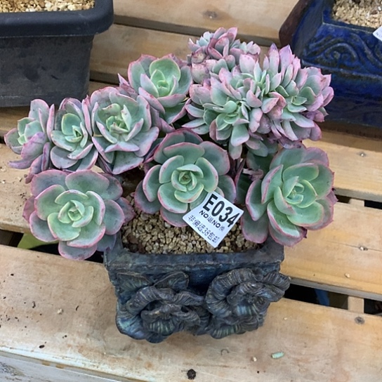 李***红霞光缀化125换034补差价