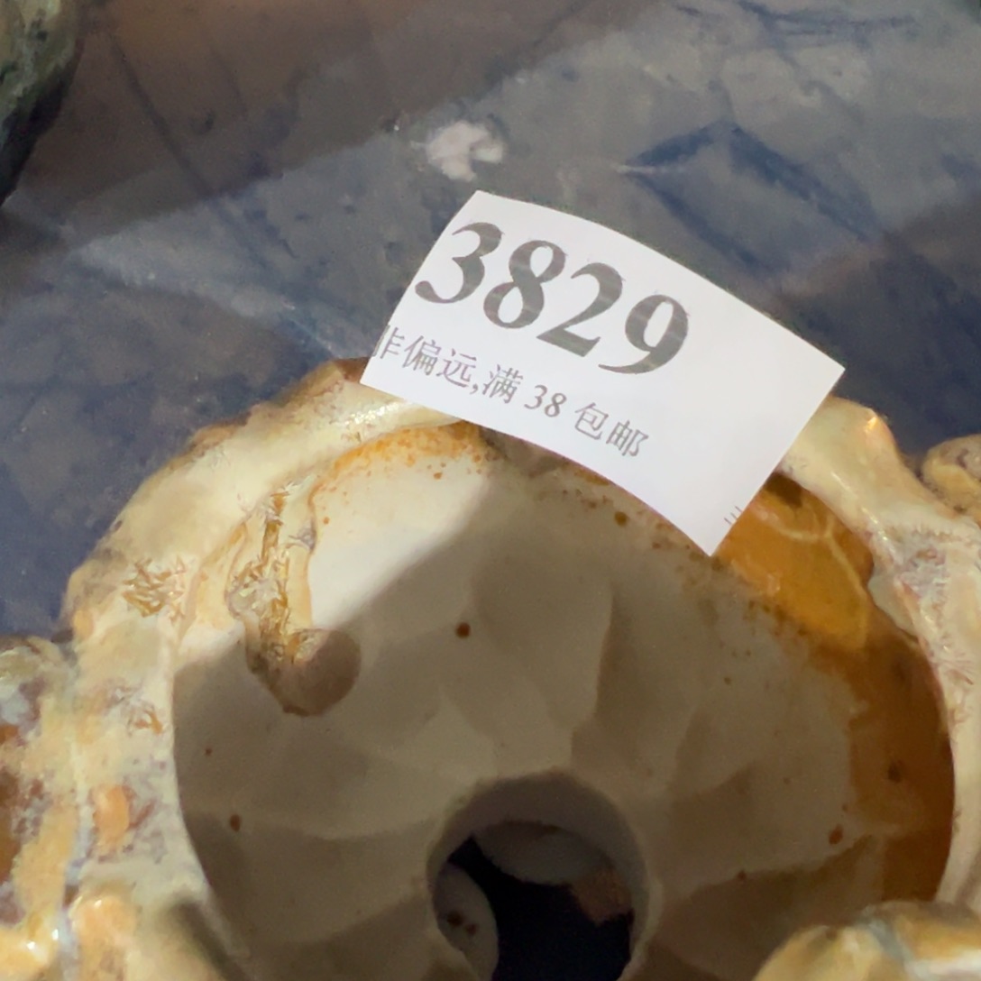 红陶景德镇陶瓷……