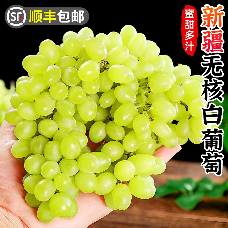 【顺丰包邮】次明日达 新疆吐鲁番无核白葡萄新鲜清甜无籽当季水果