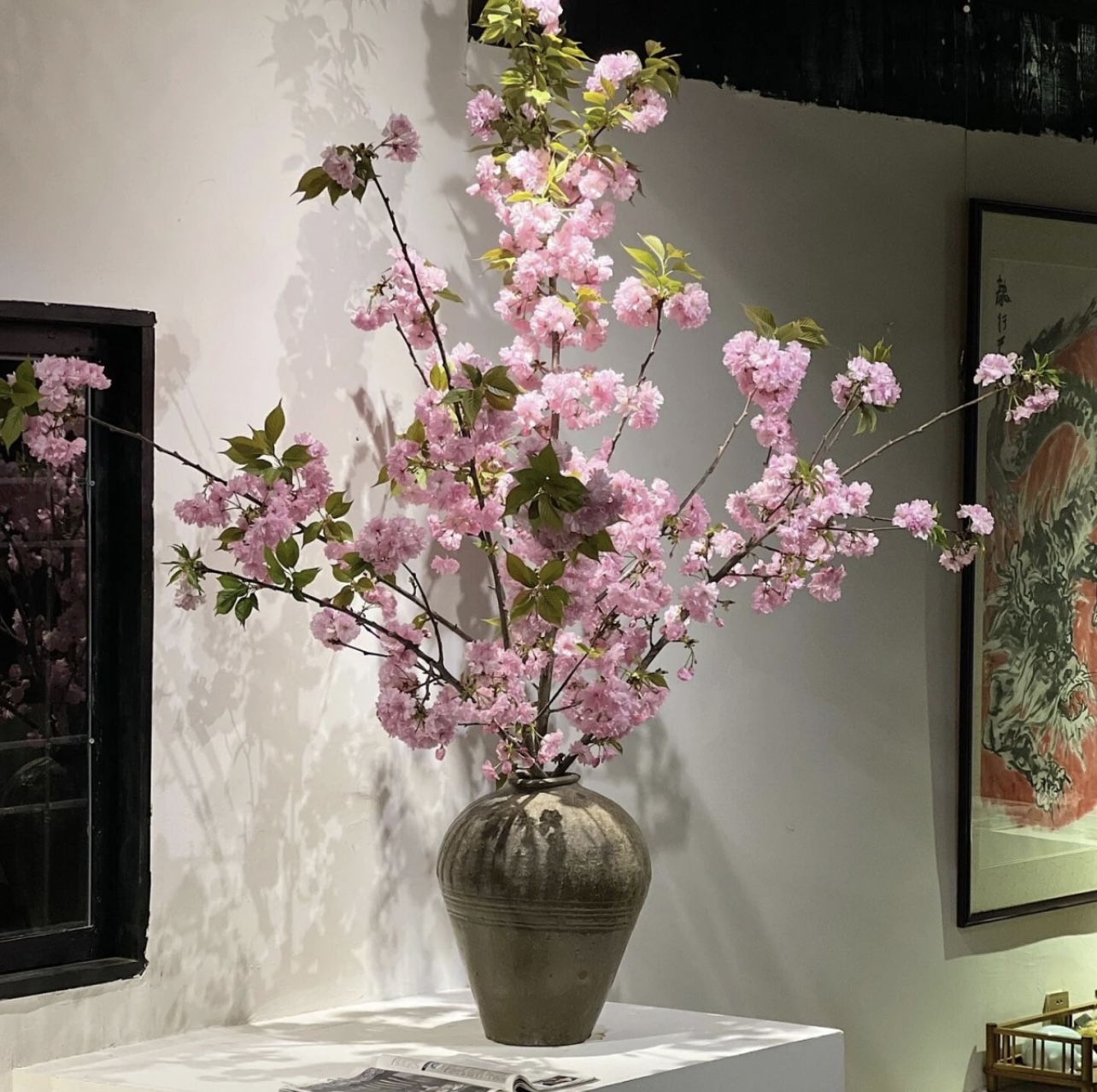 重瓣晚樱丨包开花 长花期水培花材