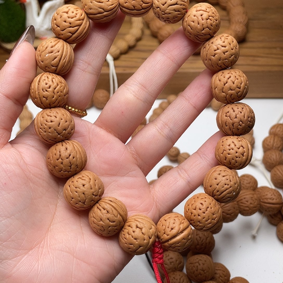 舞***你17野生灯笼滴溜圆矮1