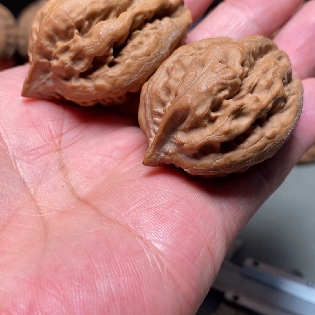 核桃01文玩核桃把件