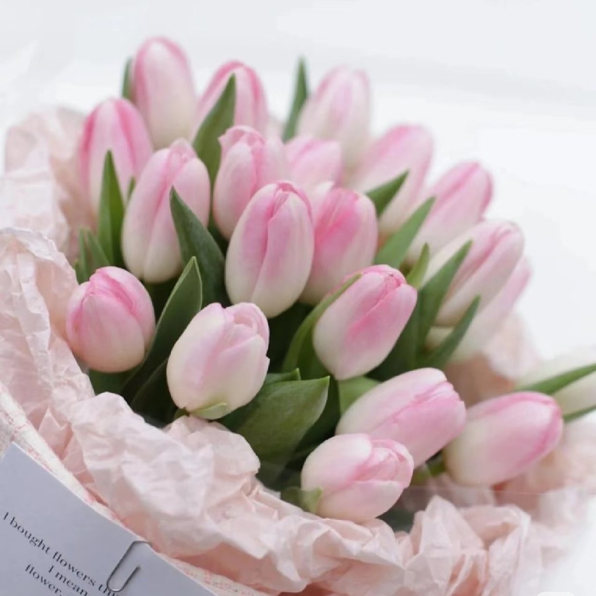 （头等舱）粉色郁金香 家居鲜花  东北鲜花原产地直采直发 顺丰包邮